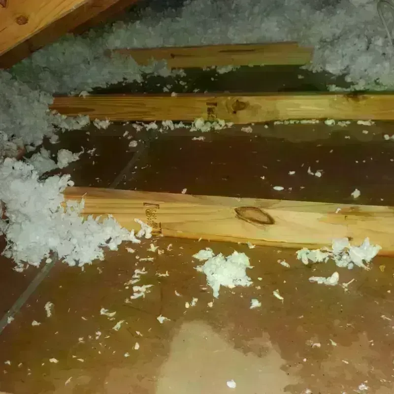 Attic Water Damage in La Puente, CA